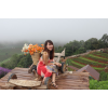 ❣ Mon Jam ,Chiang Mai ❣  💖 Green season ǹ  ͹