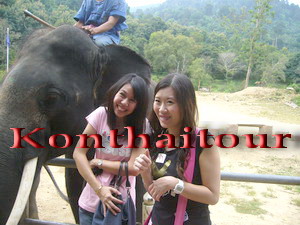 §Ѵ 3 ѹ 2 ׹ , § ,join tour chiang mai ,ѷ§ ,§Ѵ 3 ѹ 2 ׹