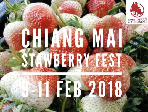 🍓 Konthaitour ԭȡʵ 9-11 Ҿѹ 2561 ѧѴ§ 觻١˭ش˹㹻 (Chiang mai Strawberry Festival)  🍓öҪкǹŧ ¾ѹ ô  ѧöʵʴ ҹ ʹþɨҡʵѧ 🍓͡ҡѧաèѴԨ蹷ʹҡ ٴ պ ѹ 