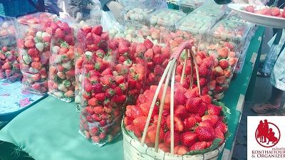 🍓 Konthaitour ԭȡʵ 9-11 Ҿѹ 2561 ѧѴ§ 觻١˭ش˹㹻 (Chiang mai Strawberry Festival)  🍓öҪкǹŧ ¾ѹ ô  ѧöʵʴ ҹ ʹþɨҡʵѧ  🍓͡ҡѧաèѴԨ蹷ʹҡ ٴ պ ѹ 
