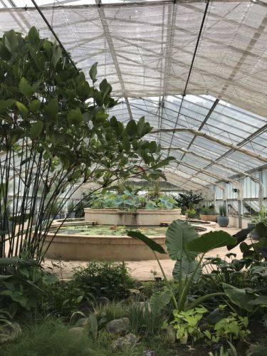  🌺หากใครจะมาแอ่วเชียงใหม่ Mr.Konthaitour แนะนำต้องไม่พลาด  🌺สวนพฤกษศาสตร์สมเด็จพระนางเจ้าสิริกิติ์ และ Canopy Walkway เส้นทางชมวิวลอยฟ้าที่ยาวที่สุดในประเทศไทย 🌺 มีพื้นที่ทั้งหมดประมาณ 3,500 ไร่  ❤️ Queen Sirikit Botanic Garden at Chiang Mai , Thailand  Canopy walkway is one of the newest and most exciting attractions to open up