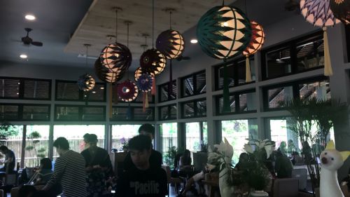 💖· Ҷ蹾 Դʺó  ҹ͹  § ҹйѡҡ͹٭ ЪѧẺ ԧ / Nekoemon Cafe Chiang Mai