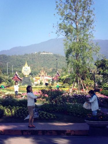 Mr.Konthaitour Ѻ˹á תǹš / Royal Flora Festival  , Chiang Mai