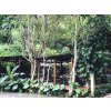 ❤️ คนไทยทัวร์ พาเที่ยว พาชิม ที่ The cave doikam Chiang Mai 