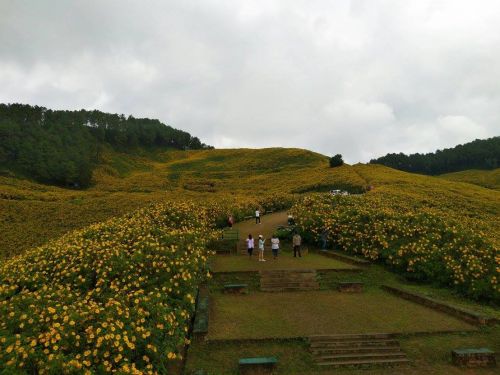 · ҡ·  ҡ ȡŷ觺ǵͧҹ  ٤ ͧ͹..  🌻❄️☃️  🎉ȨͧҵԷѧä͡ǵͧԺҹͧ价Ƿʹ٤  🌻աèѴҹҧ˭ ҷء зѺ㨹ѡͧ ҧʹءʹҹлзѺ  💥 ҡȺط ЪͧʶҹͧǷҧҵ 㹪ǧ˹˹繪ǧ͡ǵͧҹ оẺԴ ҪԹմͧ͡觢ع äͧѡԹҧ  🌻ѧշ ҧҧա  ʹ – ¹Ӵѧ - Ѵ - ӻ – § – ҧ - ӵ - ҹѡ – Ҵش – иҵش¡ͧ – Ź-  աҡ  🌻 Chiang Mai -Sunflower Bloom in Mae Hong Son -Pai trip 3-5 Days
