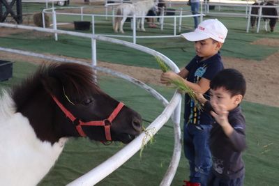 คนไทยทัวร์  พา หลานๆ เที่ยว ที่  แหล่งท่องเที่ยวแห่งใหม่   ที่ ดัชฟาร์ม  ฟาร์มม้าแคระที่ใหญ่และสวยที่สุด