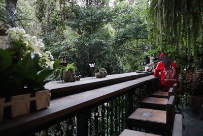 ·  ѹ˹觩ѹԹһ   Wild Coffee & Bistro  ,Chiang Mai