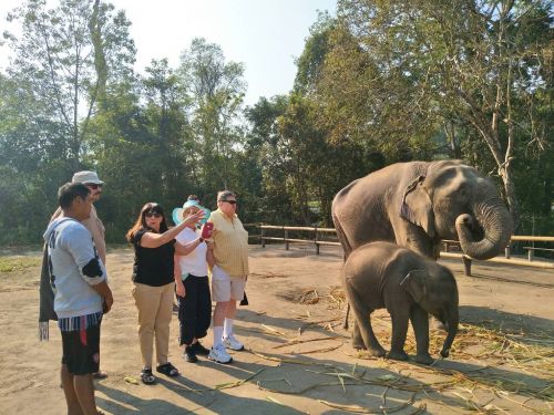 Expedia elephant tour 