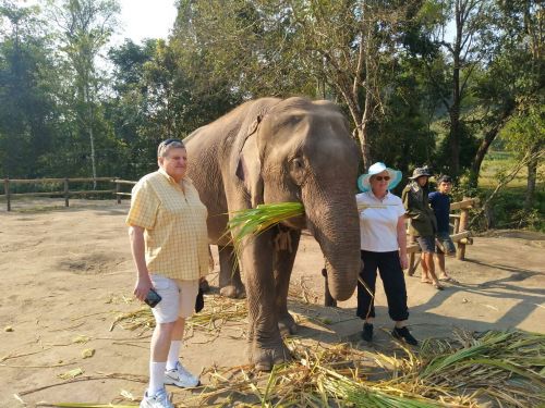 Expedia elephant tour 
