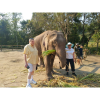  Expedia  Elephant and Chiang Rai trip 