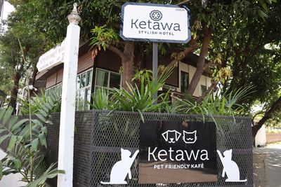 คนไทยทัวร์ พาเที่ยว ท่านที่ชื่นชอบ น้องหมา   Ketawa  Pet Friendly Kafé  ( Dog )  เชียงใหม่ 