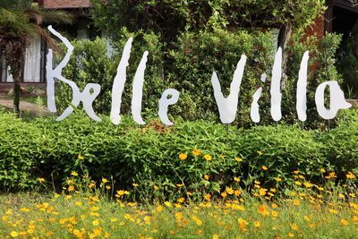 🍀 · ա˹    Belle Villa Resort Chiang mai