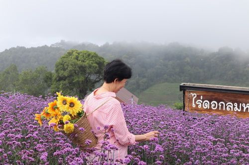 ❣ Mon Jam ,Chiang Mai ❣  💖 Green season แม่สาวน้อย ณ ม่อนแจ่ม