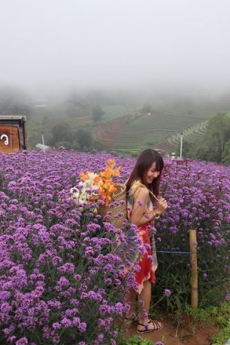 ❣ Mon Jam ,Chiang Mai ❣  💖 Green season แม่สาวน้อย ยังคงงดงามเสมอมา แม้กาลเวลาจะเปลี่ยนแปลง แต่ความจริงใจ ของเธอไม่เคยเปลี่ยน ณ ม่อนแจ่ม