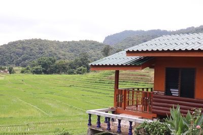 ☘ คนไทยทัวร์ ตามเธอมาเที่ยวชม ทุ่งนาขั้นบันใด และ วิธีการคั่วและบดกาแฟสดๆ ่ที่ หมู่บ้่านแม่กลางหลวง อุทยานแห่งชาติดอยอินทนนท์  ☘ Terraced paddy field surrounding you is being held as one of the ecotourism community destination and enjoy a cup of freshly brewed coffee by the locals Village , Ban Mae Klang Luan at Doi Inthanon National Park, Chiang Mai