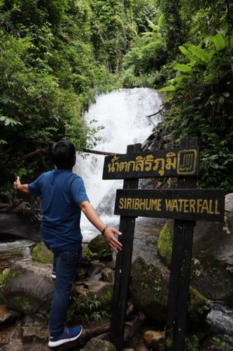 🔸วันหนึ่ง ฉันเดินเข้าป่า เพื่อตามหา น้ำตกสิริภูมิ และ สถานีเกษตรหลวงอินทนนท์ ที่ อุทยานแห่งชาติดอยอินทนนท์ เชียงใหม่  🔹Siripoom Waterfall land of fern and The Royal Agricultural Station Inthanon / Doi Inthanon National Park, Chiang Mai