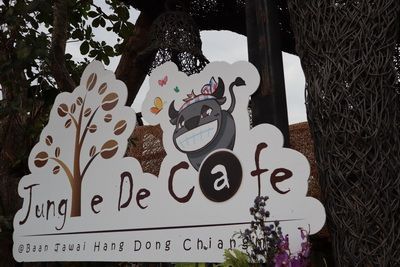 🌺 ·   Jungle de cafe,Chinag Mai ҢҺҹ ѡҹ СѺء ء  ءҹ蹪ͺʾҵẺش