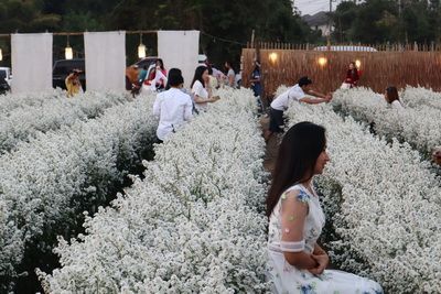 🍁คนไทยทัวร์ พาเที่ยวชมสวน Into the Flower Chiang Mai