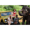 Konthaitour Photo Portrait �Ѻ ��ͧ��� ��ͧਹ �ѹ��� �ǹʹ���ᵧ ��§���� ��� �ҧ��ҧ